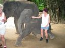 Bestandsnaam=Thailand0217.JPG
Bestandsgrootte=252KiB
Afmetingen = 1024x768
Datum toegevoegd = %05 %094 %2014 Thailand0217.JPG