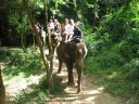 Bestandsnaam=Thailand0220.JPG
Bestandsgrootte=414KiB
Afmetingen = 1024x768
Datum toegevoegd = %05 %094 %2014 Thailand0220.JPG