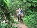 Bestandsnaam=Thailand0224.JPG
Bestandsgrootte=420KiB
Afmetingen = 1024x768
Datum toegevoegd = %05 %094 %2014 Thailand0224.JPG