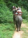 Bestandsnaam=Thailand0228.jpg
Bestandsgrootte=352KiB
Afmetingen = 768x1024
Datum toegevoegd = %05 %094 %2014 Thailand0228.jpg