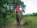 Bestandsnaam=Thailand0233.JPG
Bestandsgrootte=377KiB
Afmetingen = 1024x768
Datum toegevoegd = %05 %094 %2014 Thailand0233.JPG