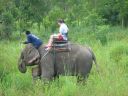 Bestandsnaam=Thailand0234.JPG
Bestandsgrootte=382KiB
Afmetingen = 1024x768
Datum toegevoegd = %05 %095 %2014 Thailand0234.JPG