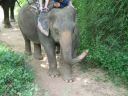 Bestandsnaam=Thailand0243.JPG
Bestandsgrootte=248KiB
Afmetingen = 1024x768
Datum toegevoegd = %05 %095 %2014 Thailand0243.JPG