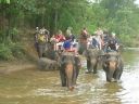 Bestandsnaam=Thailand0248.JPG
Bestandsgrootte=252KiB
Afmetingen = 1024x768
Datum toegevoegd = %05 %095 %2014 Thailand0248.JPG