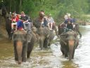 Bestandsnaam=Thailand0249.JPG
Bestandsgrootte=260KiB
Afmetingen = 1024x768
Datum toegevoegd = %05 %095 %2014 Thailand0249.JPG