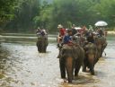 Bestandsnaam=Thailand0250.JPG
Bestandsgrootte=197KiB
Afmetingen = 972x740
Datum toegevoegd = %05 %095 %2014 Thailand0250.JPG