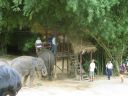 Bestandsnaam=Thailand0253.JPG
Bestandsgrootte=264KiB
Afmetingen = 1024x768
Datum toegevoegd = %05 %095 %2014 Thailand0253.JPG