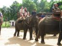 Bestandsnaam=Thailand0255.JPG
Bestandsgrootte=307KiB
Afmetingen = 1024x768
Datum toegevoegd = %05 %095 %2014 Thailand0255.JPG