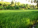 VCT_2009-11-13_49.jpg