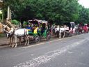 Vakantie_2008_0272.jpg