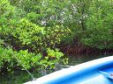 Bestandsnaam=Vakantie_2008_1016.jpg
Bestandsgrootte=782KiB
Afmetingen = 2048x1536
Datum toegevoegd = %31 %142 %2014 Vakantie_2008_1016.jpg