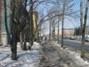 Bestandsnaam=Yuzhno_20.JPG
Bestandsgrootte=899KiB
Afmetingen = 1600x1200
Datum toegevoegd = 01 okt 2014 Yuzhno_20.JPG
