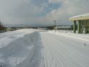 Bestandsnaam=Zima_081.JPG
Bestandsgrootte=305KiB
Afmetingen = 1600x1200
Datum toegevoegd = %01 %299 %2014 Zima_081.JPG