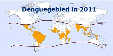Denguegebied_2011