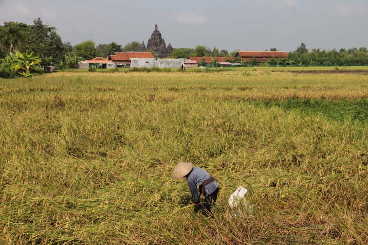 Indonesie_2013_06_20_0092a