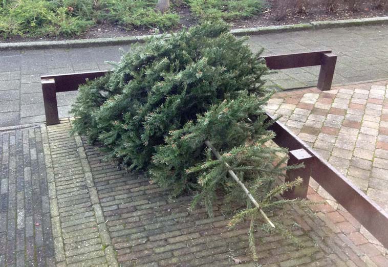 Kerstboom_2014