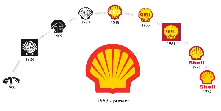 Shell_Picten