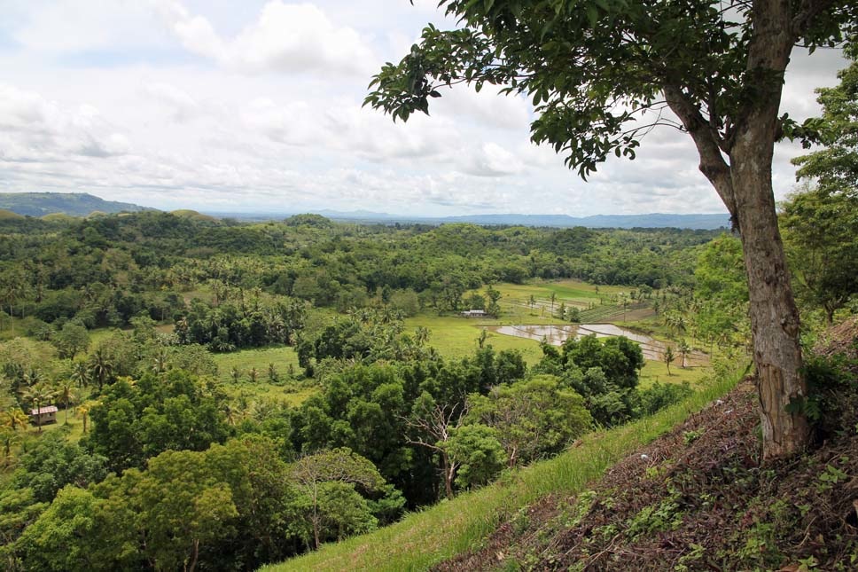 E-Chocolate_Hills_0036.jpg