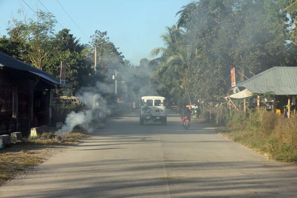 MountPinatubo_0023.jpg