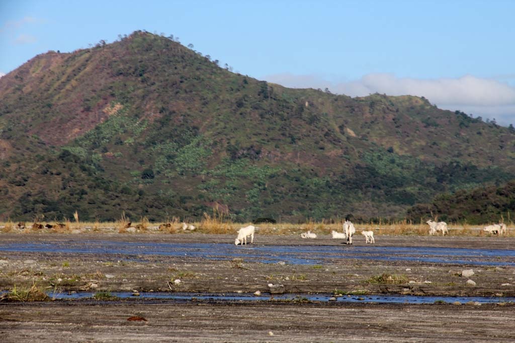 MountPinatubo_0036.jpg