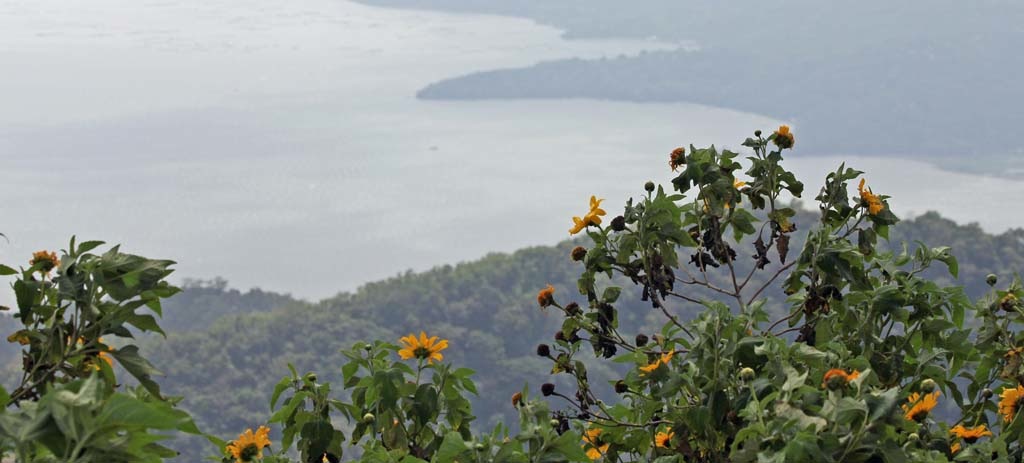 Tagaytay_0030.jpg